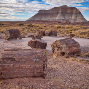 Bite-Sized Guide: Southern Colorado Plateau